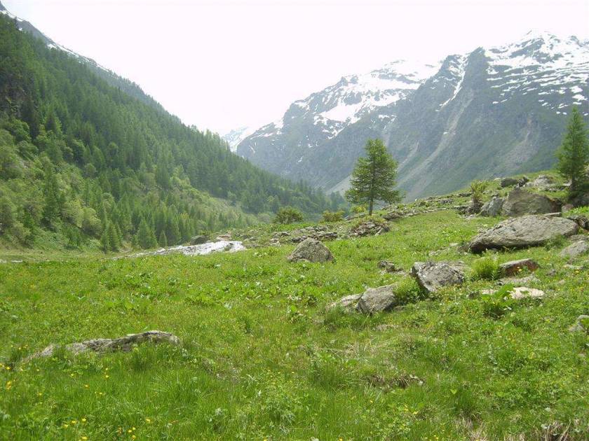 Valgrisenche Valley